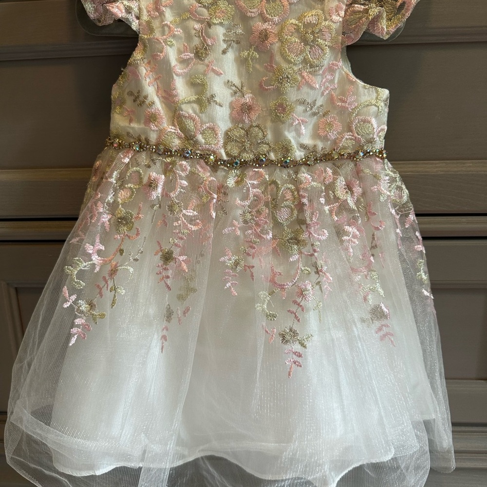 Floral Embroidered Toddler Kids Girls Belted Ornate Dress